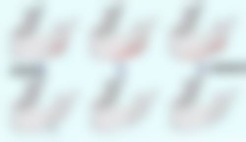  西安莎曼妃整形医疗美容医院医生团队（部分）：