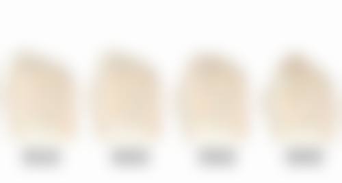 如何预约朴俊医生就诊