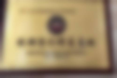 广州市第十二人民医院整形美容科简介