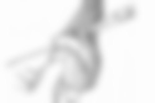 陈家欢医生擅长项目