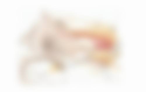 舟山市沈家门沈虹美容养生馆擅长项目