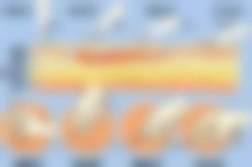 戴重武的技术与实力体现