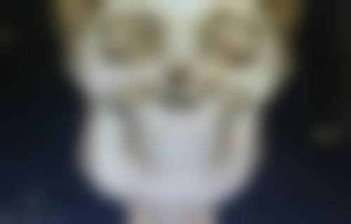 治疗项目价格说明