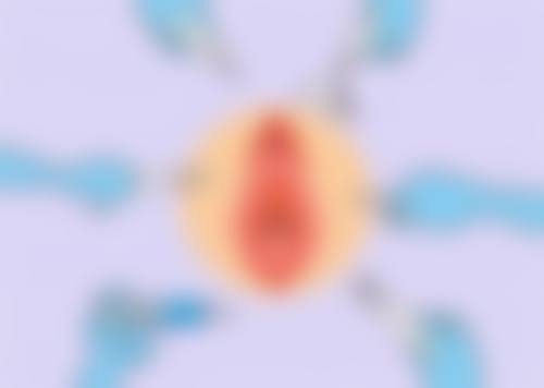 Herb整形外科擅长项目。