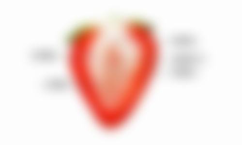 广州市第十二人民医院整形美容科简介