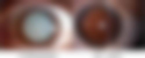 历芳医生坐诊医院情况