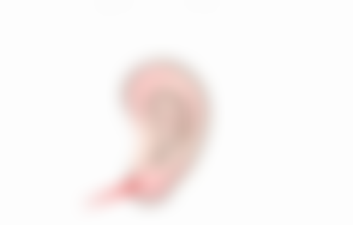 荆门楚伊整形医疗美容医生团队（部分）