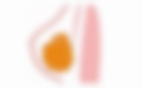 张婧婧医生所在医院乘车路线