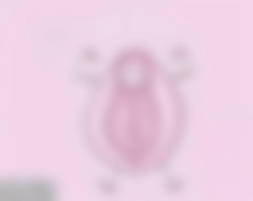 十堰市人民医院烧伤整形外科乘车路线