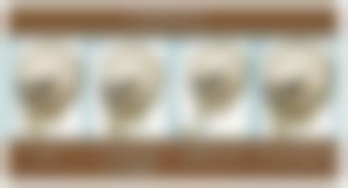 厦门大学附属中山医院洪素庄医生价格收费表查询