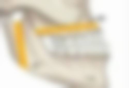 佳木斯中 心医院美容外科预约挂号方式。