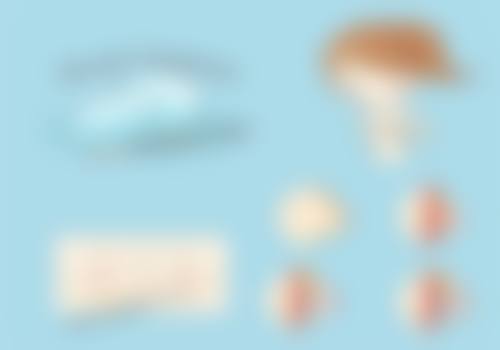 项目价格及预约方式