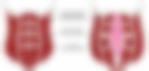 金荣振医生的从业经历