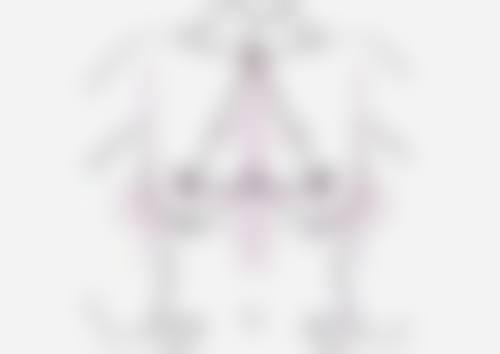 玉林医奢美医疗美容诊所预约挂号方式。