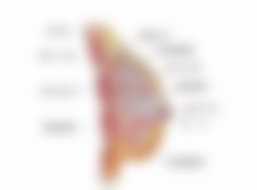 武海龙医生的技术实力亮点