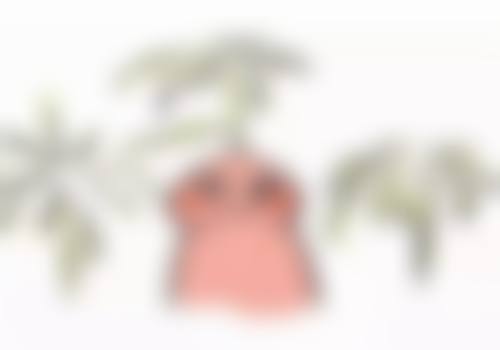 陈卫东医生技术或实力