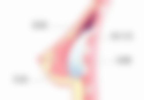 德阳医而美整形医疗美容医院2026年价格收费表：