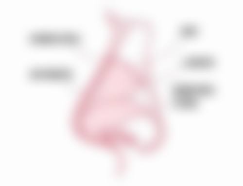 成都忠爱医疗美容诊所地理位置便于到院。