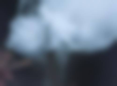 威海美神医疗美容诊所擅长项目