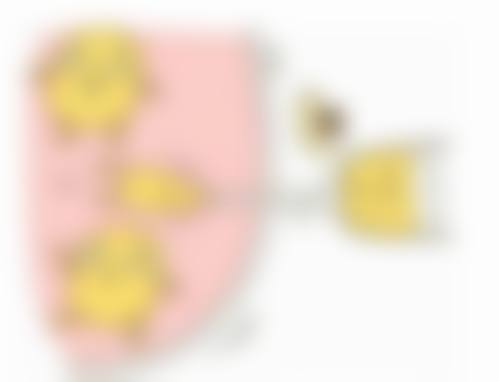 洪星杓的技术与实力