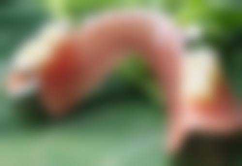 南充美昂口腔医院李飞龙医生擅长项目