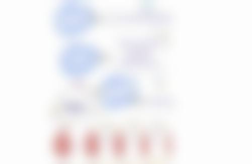 南宁市红十字会医院整形美容擅长项目。