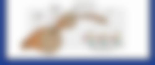 上海天瑜整形医院口碑评价与项目分享