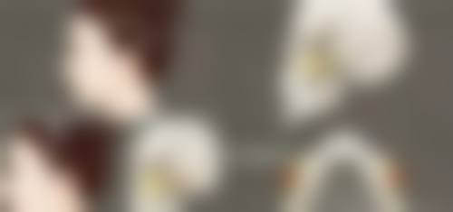宁波市第一医院整形外科2026年价格收费表: