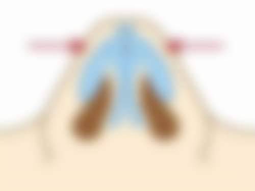 韩国林克整形外科预约挂号方式。