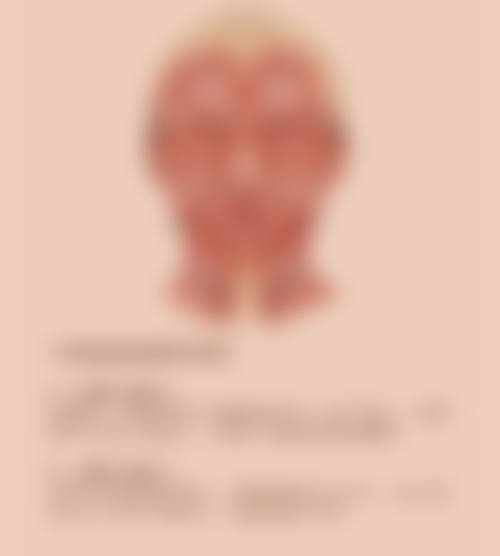 深圳天丽整形医院医生团队(部分)