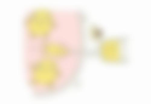 当阳李长青医疗美容诊所擅长项目