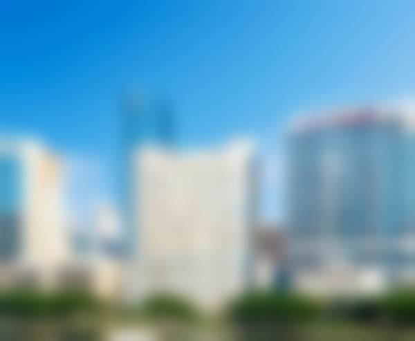 洪素庄医生擅长项目