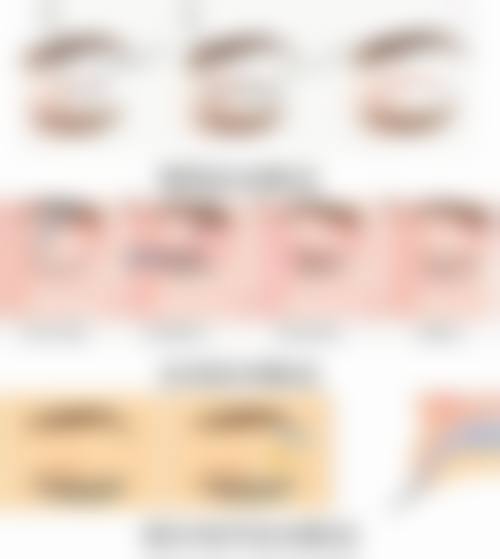  黑龙江哈尔滨赫拉整形医院医生团队（部分）：