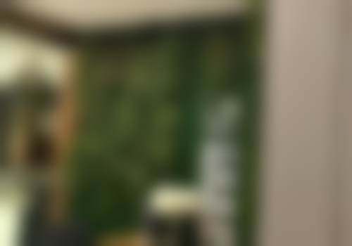 合肥台美丽格医疗美容门诊部庄坚文医生擅长项目