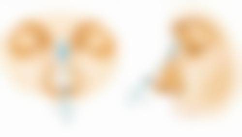 安晶玉医生价格收费表查询