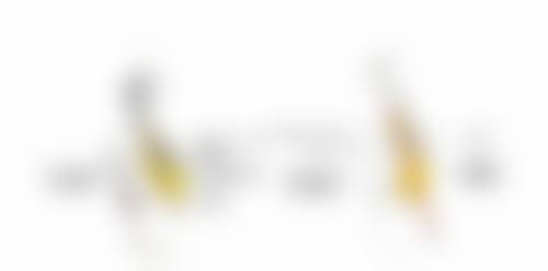 兰州时光激光整形医院罗梅医生口碑评价与项目分享: