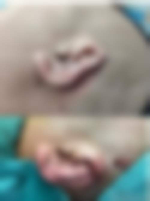 昆明赫柏整形医疗美容门诊部乘车路线: