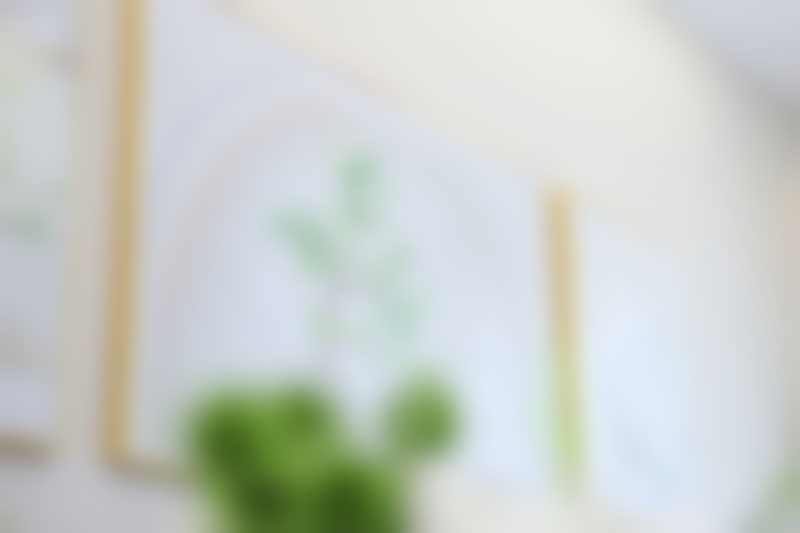 医院服务及活动