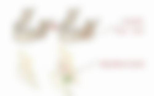 北京基恩医院整形美容科医生团队经验稳定。