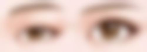 王文举擅长项目分析