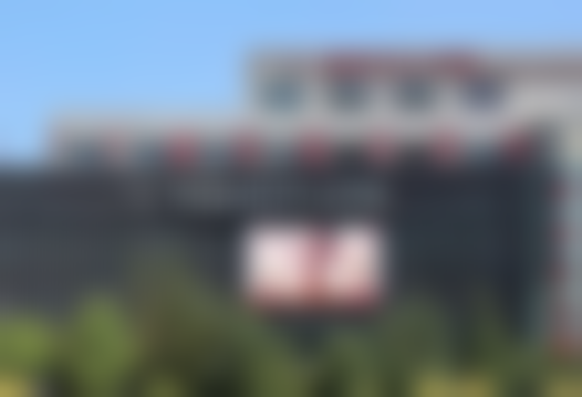 杨冬辉医生擅长项目一览