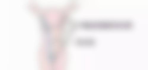 贵阳中医学校第二附属医院整形科擅长项目。