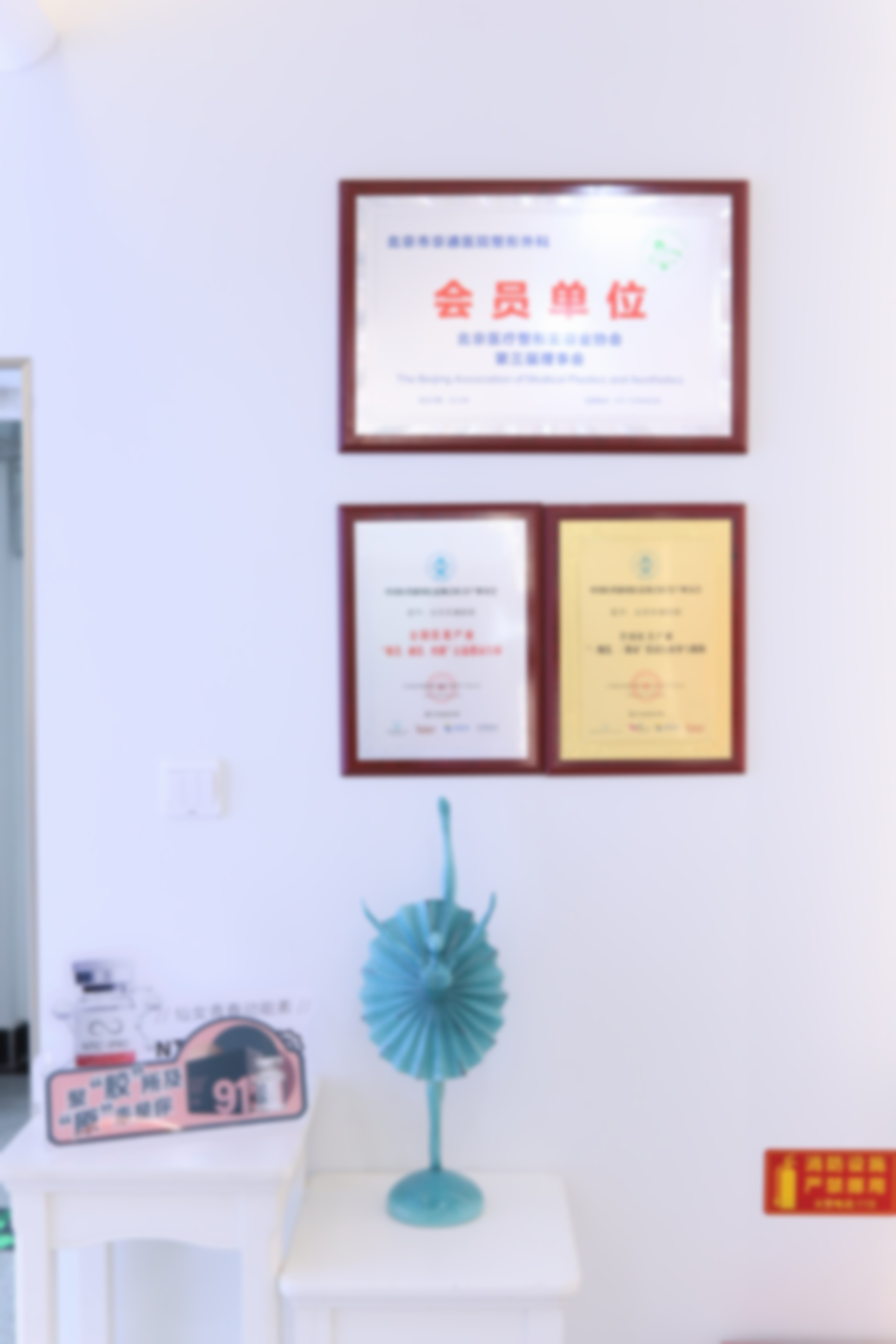 李茵医生专精介绍