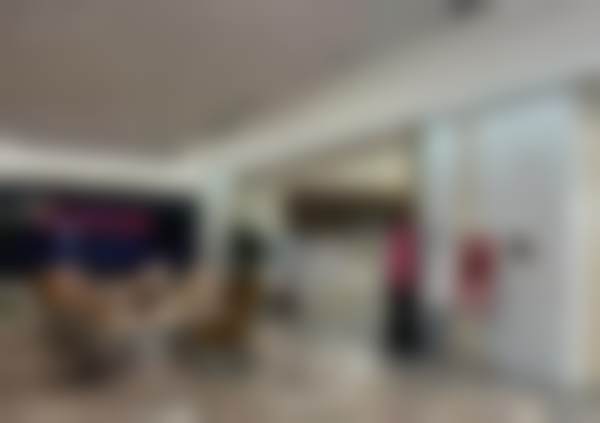 王文俊擅长的项目