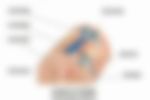 贵阳美杜莎元辰美容整形门诊部地理位置便于到院。