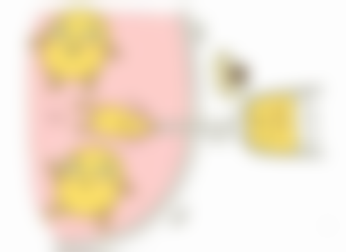 郅丹丹医生技术或实力体现