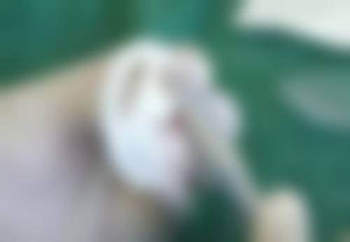 湛江康特美整形医院上班时间: