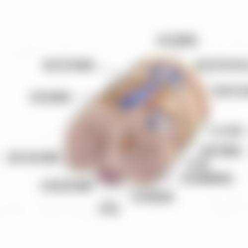 哈尔滨医 科 大学附属第二医院整形外科项目价格