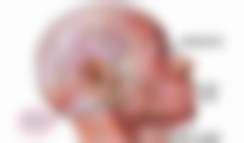 东莞吉美中科医疗美容门诊部擅长项目。