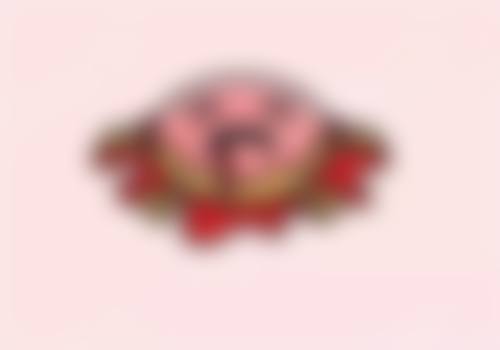 韩国女友整形外科医院预约挂号方式。